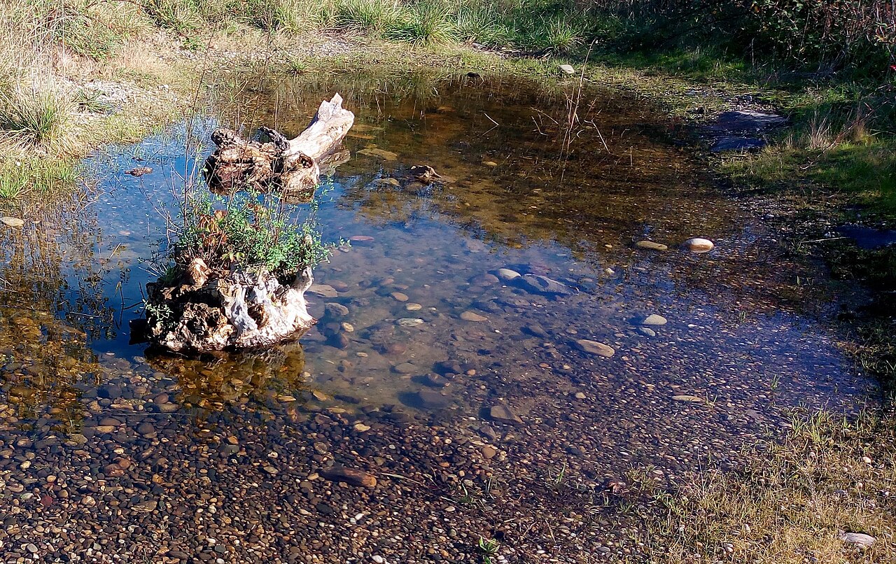 Mairie de Wittenheim